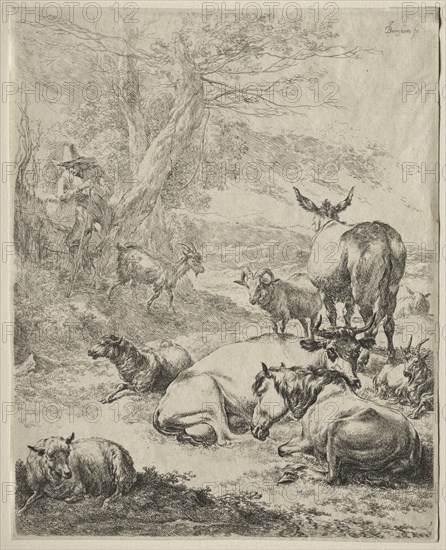Animals in Repose. Nicolaes Berchem (Dutch, 1620-1683). Etching