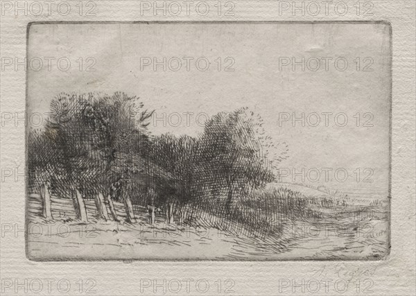 Landscape (Un Paysage). Alphonse Legros (French, 1837-1911). Etching