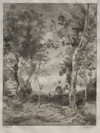 Landscape, or The White Horse, after Corot, c. 1858. Félix Bracquemond (French, 1833-1914). Etching; sheet: 44.2 x 29.1 cm (17 3/8 x 11 7/16 in.); platemark: 31 x 21 cm (12 3/16 x 8 1/4 in.).