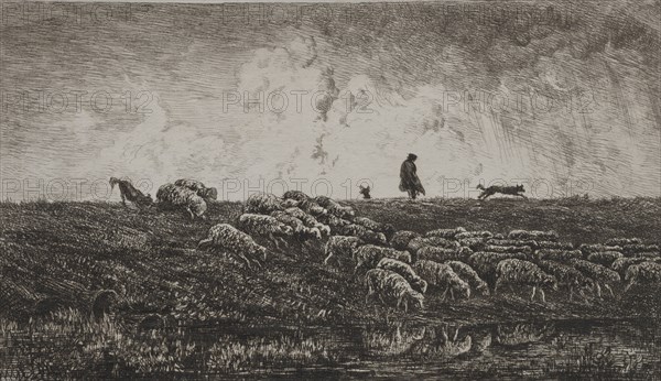 The Shower, c. 1851. Charles François Daubigny (French, 1817-1878). Etching; sheet: 27.5 x 38.3 cm (10 13/16 x 15 1/16 in.); platemark: 19.6 x 26.1 cm (7 11/16 x 10 1/4 in.)