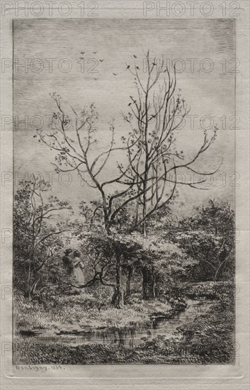 The Orchard, 1868. Charles François Daubigny (French, 1817-1878). Etching and drypoint; sheet: 35.3 x 25 cm (13 7/8 x 9 13/16 in.); platemark: 19.9 x 13 cm (7 13/16 x 5 1/8 in.)