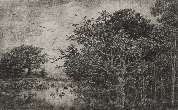 Published in "la Gazette des Beaux-Arts" on 1 March 1874: The Marsh with Storks, c. 1851. Charles François Daubigny (French, 1817-1878), Auguste Delâtre (2nd state); A. Salmon (6th state). Etching; sheet: 31.2 x 45.1 cm (12 5/16 x 17 3/4 in.); platemark: 15.2 x 21.6 cm (6 x 8 1/2 in.).