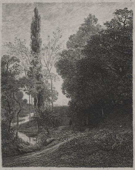 Banks of the River Cousin, 1850. Charles François Daubigny (French, 1817-1878), Auguste Delâtre. Etching; sheet: 30.1 x 23.6 cm (11 7/8 x 9 5/16 in.); platemark: 18.7 x 14.8 cm (7 3/8 x 5 13/16 in.)