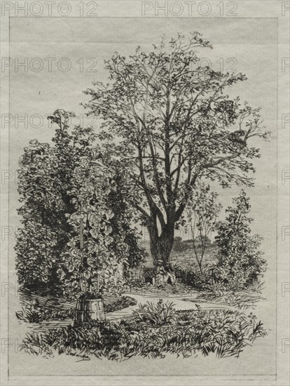 My Garden. Maxime Lalanne (French, 1827-1886). Etching