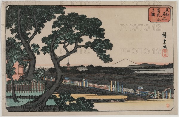 Picture of Matsuchiyama (from the series Famous Places in the Eastern Capital), late 1830s or early 1840s. Ando Hiroshige (Japanese, 1797-1858). Color woodblock print; sheet: 34.4 x 22 cm (13 9/16 x 8 11/16 in.).