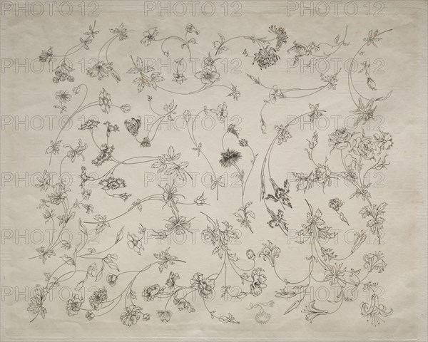 Flower designs for plates and borders (no. 14), 1872. Félix Bracquemond (French, 1833-1914). Etching; sheet: 35.2 x 45.8 cm (13 7/8 x 18 1/16 in.); platemark: 31 x 38.5 cm (12 3/16 x 15 3/16 in.).