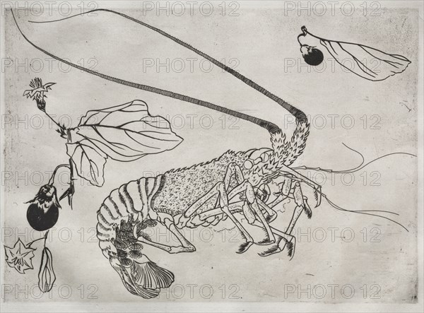 Dinner Service (Rousseau service): Large lobster with raised antenna (no. 21), 1866. Félix Bracquemond (French, 1833-1914). Etching; sheet: 34.8 x 48.6 cm (13 11/16 x 19 1/8 in.); platemark: 24.7 x 34.6 cm (9 3/4 x 13 5/8 in.)