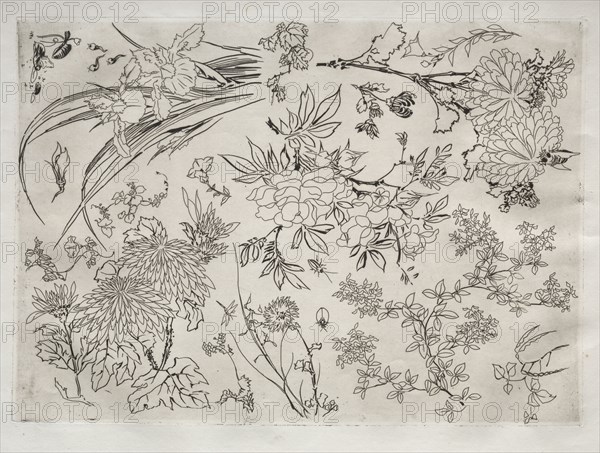 Dinner Service (Rousseau service): Flowers (no. 23), 1866. Félix Bracquemond (French, 1833-1914). Etching; sheet: 34.5 x 45.9 cm (13 9/16 x 18 1/16 in.); platemark: 24.5 x 34.5 cm (9 5/8 x 13 9/16 in.)