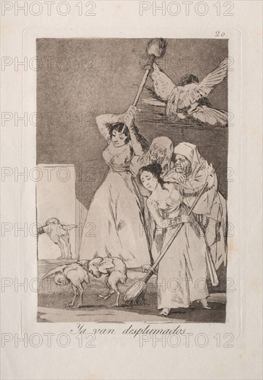 Caprichos:  There They Go Plucked (i.e. fleeced). Francisco de Goya (Spanish, 1746-1828). Etching and aquatint