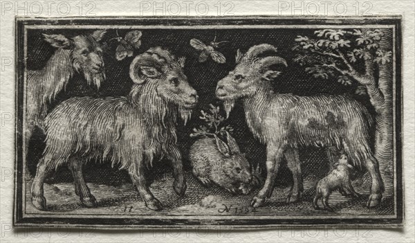 Fighting Chimeras and Scenes to Aesop's Fables: Goats and Hare, 1594. Nicolaes de Bruyn (Netherlandish, 1571-1656), A. van Londerseel. Engraving; sheet: 3.1 x 5.7 cm (1 1/4 x 2 1/4 in.)
