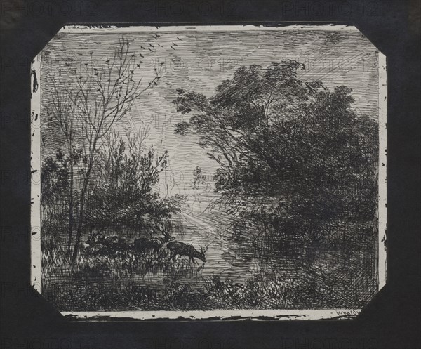 The Deer, 1862. Charles François Daubigny (French, 1817-1878). Cliché-verre plate; plate: 17.6 x 21 cm (6 15/16 x 8 1/4 in.)