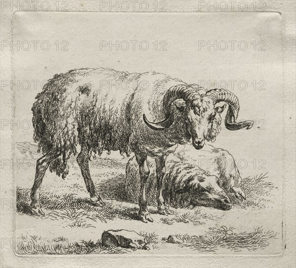 Ram and Sheep. Nicolaes Berchem (Dutch, 1620-1683). Etching