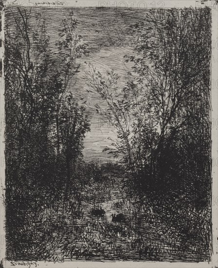A Stream in a Glade, original impression 1862, printed in 1921. Charles François Daubigny (French, 1817-1878). Cliché-verre; sheet: 20.9 x 17.1 cm (8 1/4 x 6 3/4 in.); platemark: 20 x 16.5 cm (7 7/8 x 6 1/2 in.)