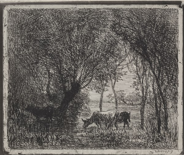 Cows in the Woods, original impression 1862, printed in 1921. Charles François Daubigny (French, 1817-1878). Cliché-verre; sheet: 17.7 x 21 cm (6 15/16 x 8 1/4 in.); platemark: 16.7 x 20 cm (6 9/16 x 7 7/8 in.).