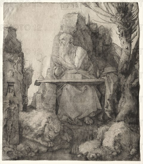 St. Jerome Seated Near a Pollard Willow, 1512. Albrecht Dürer (German, 1471-1528). Drypoint; sheet: 20.7 x 18.1 cm (8 1/8 x 7 1/8 in.).