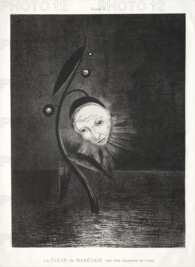 Homage to Goya:  The Marsh Flower and a Human and Sad Head, 1885. Odilon Redon (French, 1840-1916). Lithograph; image: 27.5 x 20.5 cm (10 13/16 x 8 1/16 in.)
