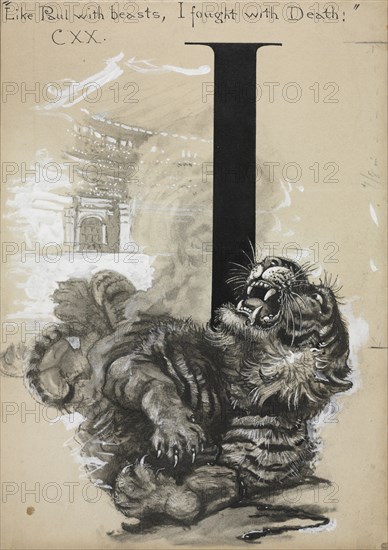 Tiger. Harry Fenn (American, 1838/45-1911). Pen and ink, brush and wash, heightened with white; sheet: 27.6 x 19.5 cm (10 7/8 x 7 11/16 in.).