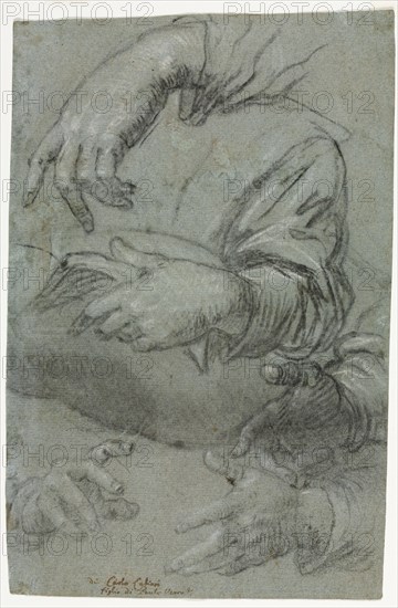 Studies of Hands (recto), c. 1586. Carletto Caliari (Italian, 1570-1596). Charcoal (stumped in places) heightened with white chalk; sheet: 27.5 x 17.8 cm (10 13/16 x 7 in.).