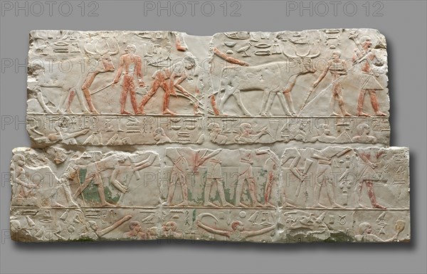 Relief of Agricultural Scenes, c. 2311-2281. Egypt, Saqqara, Old Kingdom, early Dynasty 6, 2311-2140 BC. Painted limestone; overall: 92.5 x 173.8 cm (36 7/16 x 68 7/16 in.).