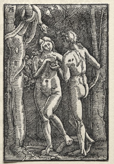 The Fall and Redemption of Man:  Adam and Eve Eating the Forbidden Fruit, c. 1515. Albrecht Altdorfer (German, c. 1480-1538). Woodcut