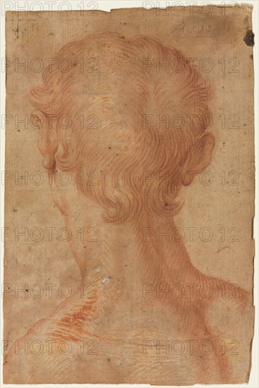 Man's Head from the Back, 16th century?. Copy after Agnolo Bronzino (Italian, 1503-1572). Red chalk with red and white gouache; sheet: 19.4 x 12.8 cm (7 5/8 x 5 1/16 in.).
