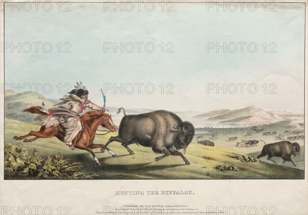 Hunting the Buffalo, 1837. E. C. Biddle (American), John T. Bowen (British, c. 1801-1856), after Peter Rindisbacher (Swiss), E.C. Biddle. Lithograph, hand colored