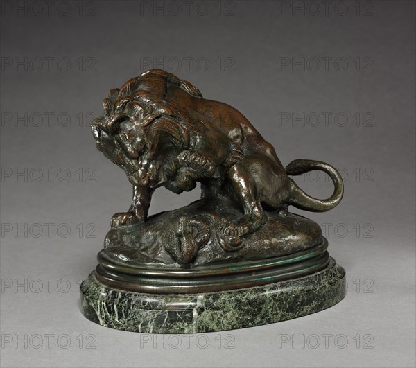 Lion and Serpent, c. 1830 - 1875. Antoine-Louis Barye (French, 1796-1875). Bronze; overall: 15.3 x 13.3 cm (6 x 5 1/4 in.)