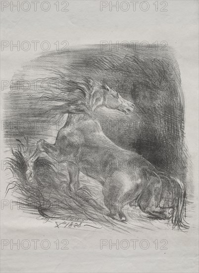 The Wild Horse, or Frightened Horse Leaving the Water, 1828. Eugène Delacroix (French, 1798-1863). Lithograph; sheet: 34.3 x 27.1 cm (13 1/2 x 10 11/16 in.); image: 23.5 x 24 cm (9 1/4 x 9 7/16 in.)