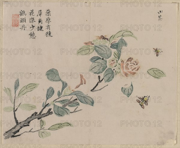 Flowering Branch with Bees, 18th Century. China, Qing dynasty (1644-1911). Color woodblock print; overall: 26.8 x 31.2 cm (10 9/16 x 12 5/16 in.).