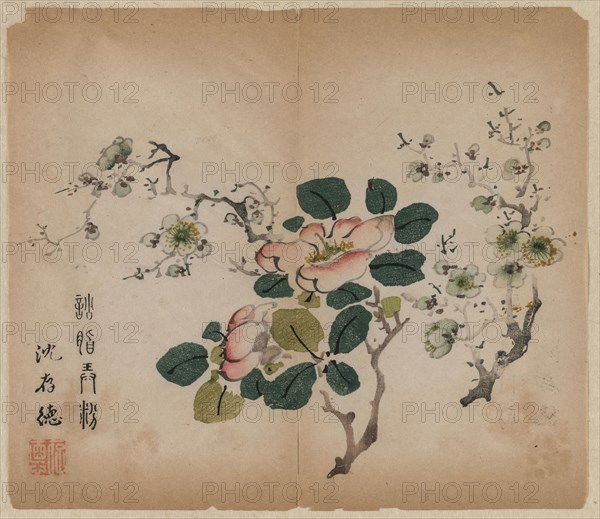 Flowering Prunus, 1368-1644. China, Ming dynasty (1368-1644) or later. Color woodblock print; overall: 30.4 x 25 cm (11 15/16 x 9 13/16 in.).