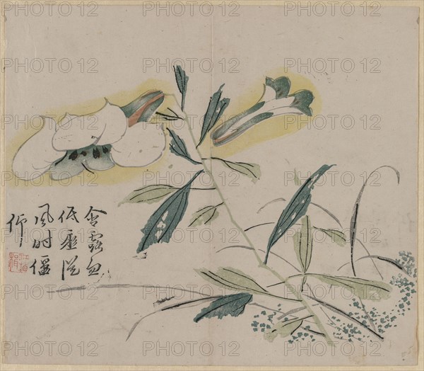Flowering Lily, 18th Century. China, Qing dynasty (1644-1911). Color woodblock print; overall: 30.1 x 26.2 cm (11 7/8 x 10 5/16 in.).