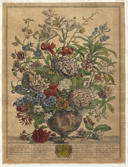Twelve Months of Flowers:  July, 1730. Henry Fletcher (British, active 1715-38). Engraving, hand-colored; sheet: 42.3 x 32.4 cm (16 5/8 x 12 3/4 in.); platemark: 41.5 x 31.5 cm (16 5/16 x 12 3/8 in.)