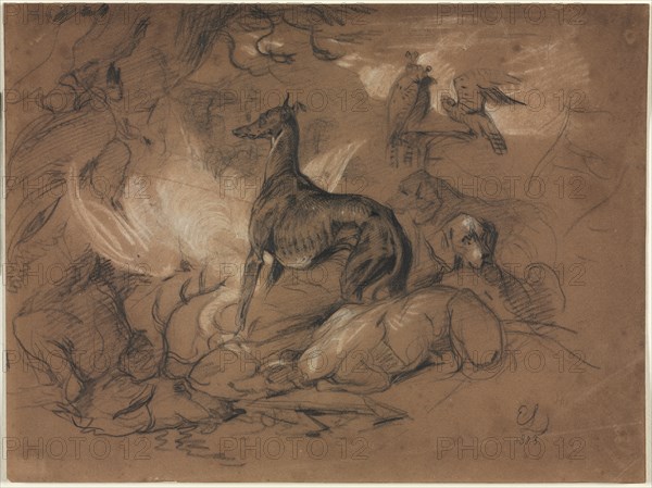 Studies of Animals, 1873. Edwin Henry Landseer (British, 1802-1873). Charcoal and pencil heightened with white; sheet: 20.6 x 27.8 cm (8 1/8 x 10 15/16 in.).