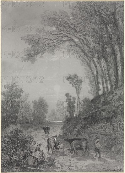 Landscape with Cows, second half 19th century. Émile van Marcke (French, 1827-1890). Graphite, with gray ground scratched away for heightening; sheet: 15.8 x 11.4 cm (6 1/4 x 4 1/2 in.).