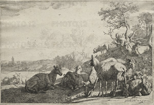 The Shepherd, 1644. Paulus Potter (Dutch, 1625-1654). Etching