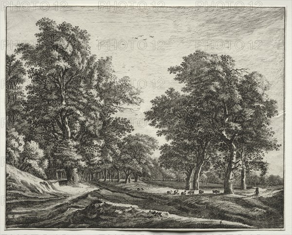 Six view in the wood of the Hague:  Goats Under the Trees. Roelant Roghman (Dutch, 1627-1692). Etching