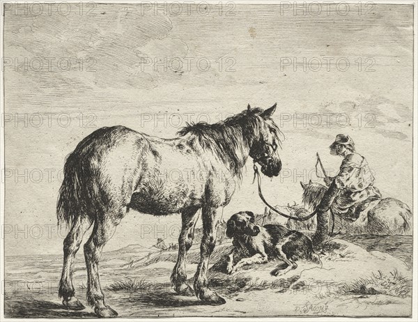 Horse bound to a post. Dirck Stoop (Dutch, c. 1618-1681). Etching