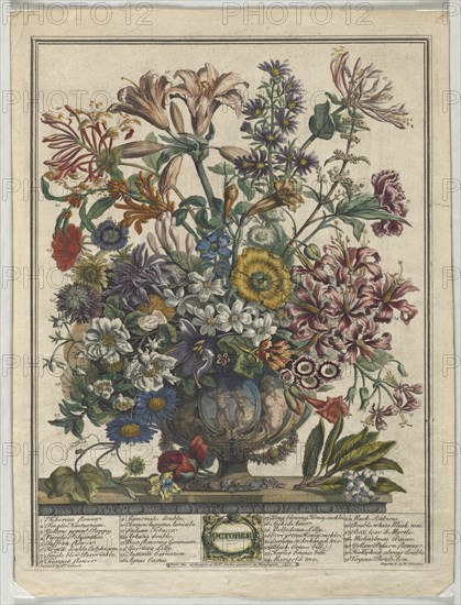 Twelve Months of Flowers:  October, 1730. Henry Fletcher (British, active 1715-38). Engraving, hand-colored; platemark: 41.4 x 31.7 cm (16 5/16 x 12 1/2 in.)