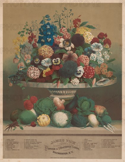 Flowers and Vegetables, 1800s. Anton Carl Rahn (American, born Germany, 1842-1907). Lithograph; sheet: 51.8 x 39.5 cm (20 3/8 x 15 9/16 in.)