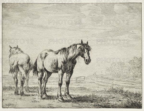 Two plough horses. Dirck Stoop (Dutch, c. 1618-1681). Etching