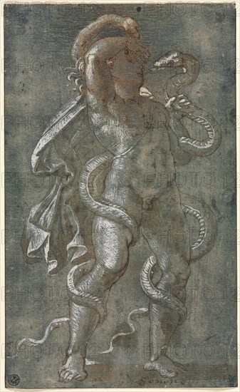 Man Entwined by Two Snakes, c. 1527. Attributed to Giovanni Antonio da Pordenone (Italian, 1483/84-1539). Pen and brown ink and brush and brown wash with blue gouache, heightened with white gouache; framing lines in brown ink; sheet: 19.2 x 11.7 cm (7 9/16 x 4 5/8 in.).