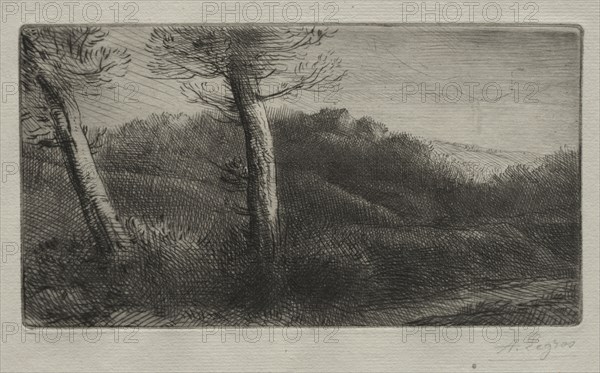 The Traveler Stretched out on the Grass, c. 1888. Alphonse Legros (French, 1837-1911). Drypoint
