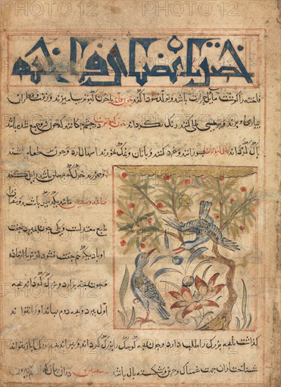 Qualities of Ringdoves (recto) from a Manafi' al-Hayawan (On the Usefulness of Animals) of Ibn Bakhtishu' (d. 1058), c. 1300. Iran, probably Maragah, Ilkhanid period (1256-1353). Opaque watercolor, ink, and gold on paper; image: 10.2 x 9 cm (4 x 3 9/16 in.); overall: 24.7 x 18.2 cm (9 3/4 x 7 3/16 in.); text area: 22.2 x 16.5 cm (8 3/4 x 6 1/2 in.).