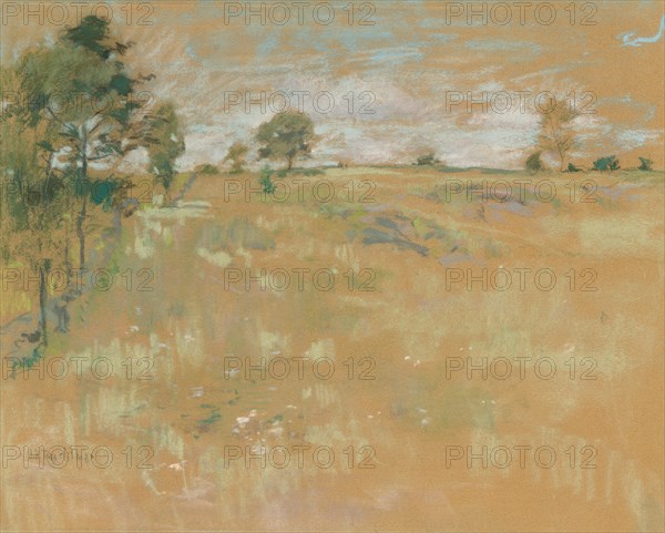 Pastures, Greenwich, Connecticut, c. 1890-1900. John Henry Twachtman (American, 1853-1902). Pastel; sheet: 37.9 x 45.7 cm (14 15/16 x 18 in.).