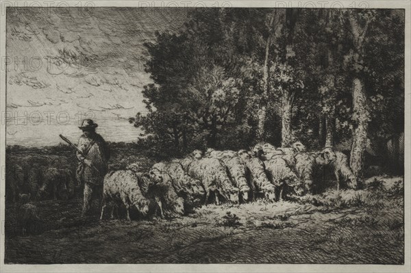 A Herd at the Edge of a Forest, 1880. Charles-Émile Jacque (French, 1813-1894). Etching and aquatint