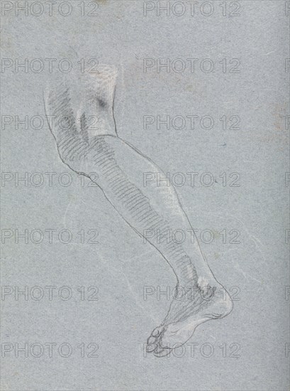 Verona Sketchbook: Left leg (page 28), 1760. Francesco Lorenzi (Italian, 1723-1787). Black chalk with white heightening ; sheet: 32 x 23 cm (12 5/8 x 9 1/16 in.).