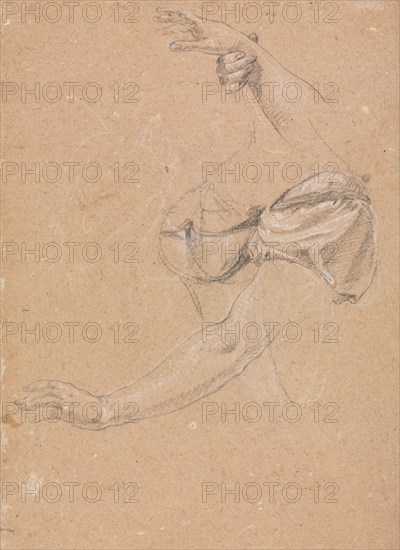 Verona Sketchbook: Female arms and hands with drapery (page 82), 1760. Francesco Lorenzi (Italian, 1723-1787). Black chalk with white heightening ; sheet: 32 x 23 cm (12 5/8 x 9 1/16 in.).