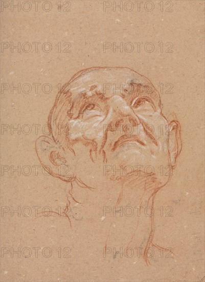 Verona Sketchbook: Male head (page 31), 1760. Francesco Lorenzi (Italian, 1723-1787). Red chalk with white heightening ; sheet: 32 x 23 cm (12 5/8 x 9 1/16 in.).