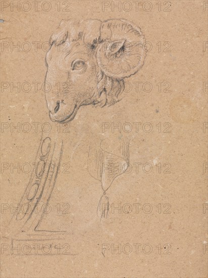 Verona Sketchbook: Ram's head (page12), 1760. Francesco Lorenzi (Italian, 1723-1787). Black chalk with white heightening ; sheet: 32 x 23 cm (12 5/8 x 9 1/16 in.).