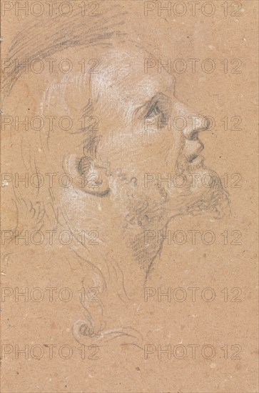 Verona Sketchbook: Male head in profile (page 91) , 1760. Francesco Lorenzi (Italian, 1723-1787). Black chalk with white heightening ; sheet: 32 x 23 cm (12 5/8 x 9 1/16 in.).